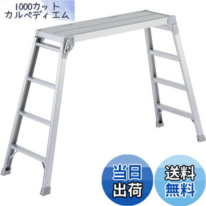 �y���������z���J��H��(Hasegawa) ����� DRX-1098c (0.98m) (17683)�y2020�N���f���z