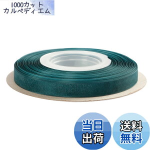 �y���������zITIsparkle �I�[�K���W�[���{�� ��9mmx45M�� ��| ���� ���b�s���O ���傤���� ���{�� #347-�e�B�[��