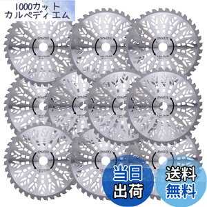 �y���������zSHUZIYU �����@�p�`�b�v�\�[ 230x36P 10���g