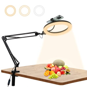 【送料無料】PULUZ LEDリングライトアーム式 26cm 俯瞰撮影用ライト スマホスタンド 料理撮影照明ライト クリップ式 高輝度ライト 3200-5600K色温度 3色モード&10段階調光 USB給電 回転可能 照明ラ