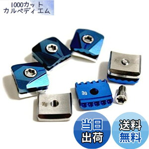 �y���������z�e�[���[���C�h SLDR �h���C�o�[�w�b�h�p �E�F�C�g �������i 5.5g 7g 9g 10g 12g 14g (12)
