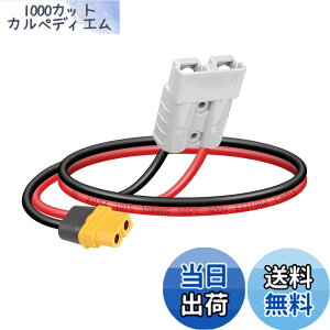 �y���������zSinLoon �o�b�e���[�A�_�v�^�[�P�[�u�� 10AWG ADS�v���O�R�l�N�^�[~XT60 50AMP 600V XT60���X 30CM