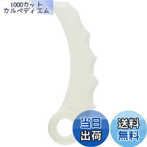 �y���������z�}�L�^ �����n�֐n 12���� A-68345