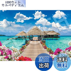 �y���������z�G�|�b�N�� 500�s�[�X �W�O�\�[�p�Y�� �C�O���i ���O�W���A���[�^�C���|�����f�B�u �i38x53cm�j 06-308s �̂�t�� �w���t�� �_�����t�� EPOCH