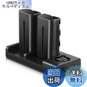 �y���������zENEGON Sony NP-F550/NP-F570�݊��o�b�e���[�i2�j2900mAh+USB�[�d�� �Ή�NP-F530/ NP-F550 /NP-F570/ NP-F330/ CCD-RV100/ RV200/ TR1 /TR940 /TR917 /CN-160 /CN-216 /CN-304 /YN 300 /V607u /V617u