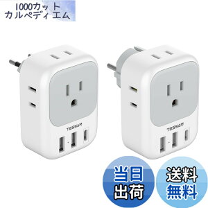 �y���������zTESSAN �ϊ��v���O C�^�C�v SE�^�C�v �C�O���s�p 4��AC������ 3USB�|�[�g�t�� �؍�/�C�^���A/�X�y�C��/�h�C�c ���[���b�p�Ȃǂ̍��ɑΉ�