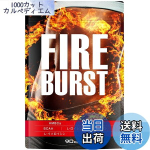�y���������z�yFIRE BURST�z L-�J���j�`�� BCAA�z�� �T�v�� ���I�f�� 90����