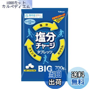 �y���������z���a���� N18-26 �����`���[�W�^�u���b�cBIG 700g