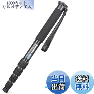 �y���������zINNOREL ��r �J�����p �R���p�N�g��r �A���~��r 10KG�ω׏d 5�Z�N�V�����L�k �g���x���쒹�B�茻��񓹃X�|�[�c�C�x���g�ɑΉ� ���s��r RM285A