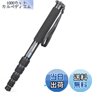 �y���������zINNOREL ��r �J�����p �R���p�N�g��r �A���~��r 12KG�ω׏d 5�i�L�k �g���x��/�쒹�B��/�����/�X�|�[�c�C�x���g�ɑΉ� ���s��r RM325A