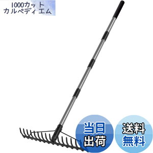 �y���������zWalensee 1.6m �F�� �L�k���[�L �X�e�����X���t �X�`�[��17�{�� ���^���w�b�h ���ȃ��[�L ������ ���t�W�� ���n��� �y��ɘa �_�� �y�n�Ǘ� �Ő��̃T�b�`��艀�|�p�_��