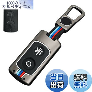 �y���������z[LETINGFAR] �L�[�P�[�X ���}�n�p �o�C�N �X�}�[�g�L�[�P�[�X �L�[�J�o�[ �������� �V���R�� 2�{�^�� ���}�n��p�݌v YAMAHA XMAX 250 AEROX155 ���ɓK�p �L�[�z���_�[ (�O���[)