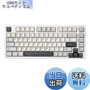 �y���������zYUNZII YZ75 75% �z�b�g�X���b�v�Ή����C�����X�Q�[�~���O�L�[�{�[�h RGB�o�b�N���C�g BT5.0/2.4G/USB-C�ADye Sub PBT�L�[�L���b�v Linux/Win/Mac�p �Z�K�F�؎擾�iGateron G Pro ����,�z���C�g)