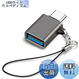 �y���������zUSB Type C & USB �ϊ��A�_�v�^ 1�Z�b�g Popolier USB3.2 Gen2 10Gbps�����]�� �^�C�vC �ϊ� OTG�Ή� MacBook Pro 2021 MacBook Air 2022 iPad Pro 2021 �y�� �ق���USB-C�@��ȂǂɑΉ� USB-C�ϊ��R�l�N�^ (1, 