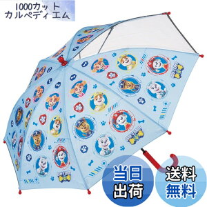�y���������z�X�P�[�^�[(Skater) �q���p �P 45cm �p�E�p�g���[�� 5~6�ˌ��� ��105~115cm ���w�� ���E���m�ۂł��铧�����t�� �w�����݂ɂ�����J���� 8�{�� �j�̎q UB45-A