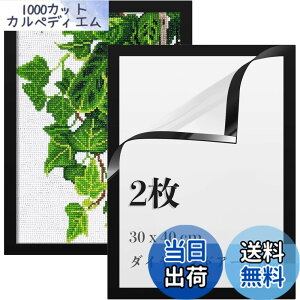 �y���������zLEADINTOP �_�C�������h�A�[�g �t�H�g�t���[�� 2�� �}�O�l�b�g�t�� 30 x 40 cm �_�C�������h�G��p �ǂ������Ȃ� ���ȔS���� �Ǌ|�� �f�B�X�v���C�t���[�� �ʐ^�t���[�� �\���� �|