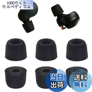 �y���������zA-��cas �C���[�s�[�X �ᔽ�� �E���^���� Sony�p WF-1000XM4�p 1000xm5�p WF-C700n�p �E���^�����ᔽ���C���[�s�[�X �L���t�H�[���C���[�`�b�v Fit in the Case �Չ��� �t�B�b�g�� ���������� 