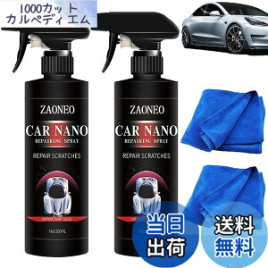 �y���������z�y500ML�z�ԗp�R�[�e�B���O�X�v���[ �h�C�c�n�C�e�N ���Ԃ��s�J�s�J�ɂȂ�ACarsonic�i�m���[�g���N�I�[�c�R�[�e�B���O�܁A�ԗp�R�[�e�B���O�X�v���[ �h�C�c�n�C�e�N�ACar Nano�R