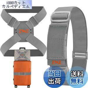 �y���������zZINZ 2 �p�b�N�̒e���ו��X�g���b�v�ƃX�[�c�P�[�X �o���W�[�A���߉\�ȃo�b�O �x���g �g���x�� �A�N�Z�T���[ -�O���[/�I�����W