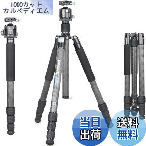 �y9��1���[9��15���܂�100�~�I�t�z�y���������zINNOREL RT85C �J�[�{�� �O�r �{�[���_�� �L�b�g 184CM �g���x���O�r �v���� �i�b�g���b�N�� �G���x�[�^�[�� �ω׏d 25KG �l�i�r ��r�ώ� �p�C�v�a32