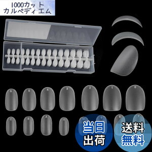 �y���������zDELUXEFOX �l�C���`�b�v �N���A 300������ �F�F�������A�T�C�Y�F�Z��
