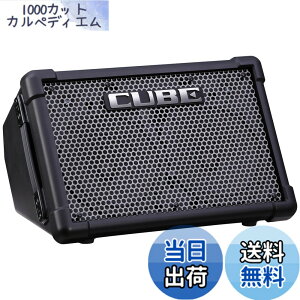 �y9��1���[9��15���܂�100�~�I�t�z�y���������zRoland ���[�����h �|�[�^�u���A���v CUBE Street EX �ő�50W�o�� ���O/�C�x���g/�X�g���[�g���C�u ���S�݌v CUBESTEX �L���[�u �X�g���[�g �u���b�N �� 