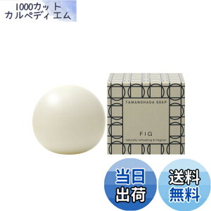 �y���������z�^�}�m�n�_ �\�[�v 005 �t�B�O 125g �F�F�I�t�z���C�g�A�T�C�Y�F125�O���� (x 1)