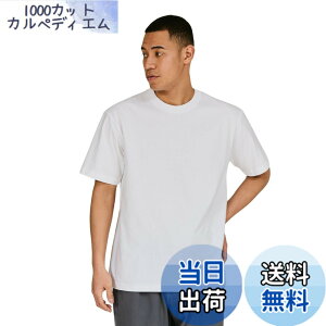 �y���������zHanes �r�[�t�B�[ T�V���c�r�[�t�B�[ T�V���c BEEFY-T 1���g ��100% �������n �w�r�[�E�F�C�gT H5180�����Y �F�F�z���C�g�A�T�C�Y�FXL