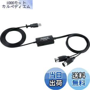 �y���������zRoland ���[�����h MIDI�C���^�[�t�F�C�X UM-ONE mk2 USB�ڑ� Windows�EMac�EiPad�ɑΉ� �V���v���ڑ� ���o�C�����ł����� �F�F�u���b�N