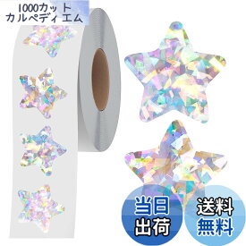 【9月1日ー9月15日まで100円オフ】【送料無料】ごほうびシール（500 枚・1 ロール・2.5cm シルバー）七夕ステッカー・星・キラキラ・フェイスシール・大型・学習用・手帳飾り・可愛い 色：シルバー、サイズ：直径2.54cm