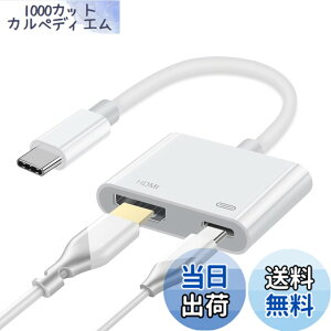 �y���������zUSB C Type C HDMI �ϊ��A�_�v�^ 2024�V�o�� 2in1 hdmi �ϊ� �^�C�vc 4K@60HZ �f���o�� hdmi�|�[�g+100W PD�}���[�d�|�[�ghdmi type-c �ϊ��A�_�v�^�[�Ή�Thunderbolt 4/3 iPhone 15 Pro/iPhone 16/Pro Max/MacBook A