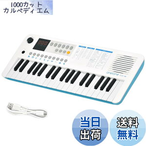 �y���������zONETONE �����g�[�� �d�q�L�[�{�[�h �~�j37���� LED�f�B�X�v���C���� USB-MIDI�Ή� ���{��\�L OTK-37M �F�F�z���C�g/�u���[