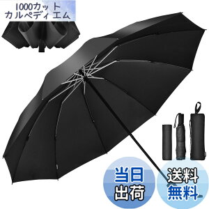 �y���������zTAIKUU �܂肽���ݎP �����Y �傫���T�C�Y �y122cm����x2�l�p�z �t�܂莮 10�{�� �蓮 ��v �ϕ� �����ɋ��� ������ �P�J�o�[�t�� ���J���p �t���P �܂��ݎP �r�b�O�T�C�Y �ʋ� ��
