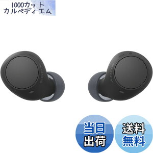 �y���������z�\�j�[(SONY) ���S���C�����X�C���z�� WF-C500/WF-C510 :/�����x�ʘb�i��/IPX4�h�H���\ �F�F�u���b�N�A�T�C�Y�F���^�y��