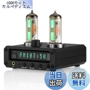 �y���������zNobsound P2-FM 6E2 �^��� �v���A���v �X�e���I �w�b�h�z���A���v �T�E���h���x���C���W�P�[�^�[ FM���W�I ���v clock �N���b�N MIC/AUX �u�����v �F�F�u���b�N�A�T�C�Y�FMINI