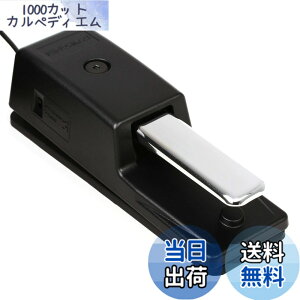 �y���������zRoland ���[�����h �_���p�[�y�_�� DP-10 �n�[�t�_���p�[�Ή� 2.2m�P�[�u�� �d�q�s�A�m �f�W�^���s�A�m �L�[�{�[�h �F�F�u���b�N