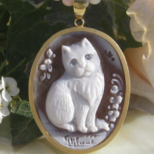 Ciro GaglioneVFJIK18y_ggbvyڂ̔Lz