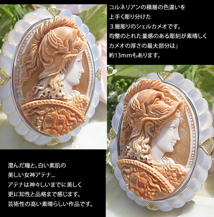 楽天市場】希少 Ciro Accanito作 コルネリアン シェル カメオ 白蝶貝 