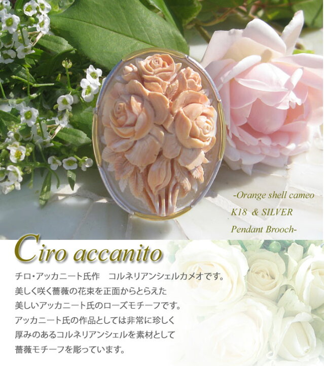 楽天市場】希少作品 Ciro Accanito作 コルネリアン シェル カメオ K18 