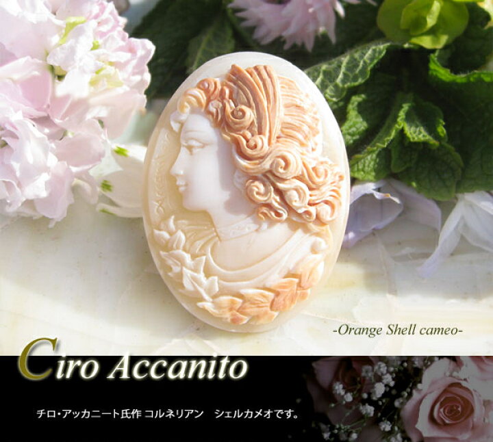 楽天市場】Ciro Accanito作コルネリアンシェルルース【優しい 