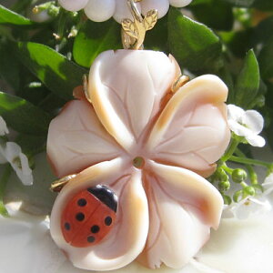 JI y_gAntonello AccanitoRlAVFAVRԎXA嗝΃JIK18y_ggbvyԂɔ܂ĂƂz