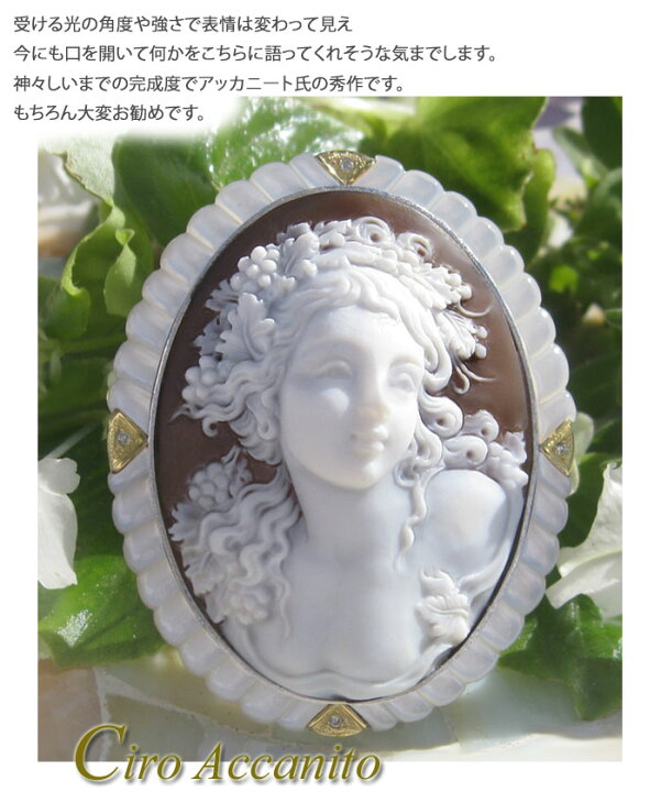 楽天市場】Ciro Accanito作シェルカメオ天然ダイヤモンド 0.04ct 白蝶 