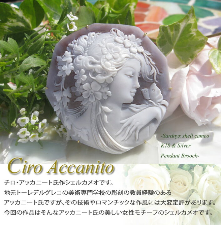 楽天市場】アッカニート最新作 Ciro Accanito作 サードニクスシェル 