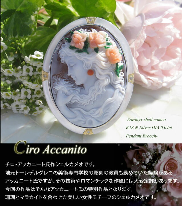 楽天市場】特別価格 Ciro Accanito作 シェルカメオ (珊瑚・マラカイト 