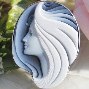 Andreas Pauly Xg[JI ōubNmE SILVER y_gu[`yw̔C @ׂȉz