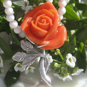 VRԎX JI SILVER y_gEu[`yɍ炭ւ̐ԂKNz