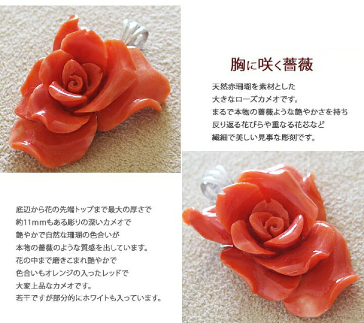 楽天市場】天然赤珊瑚カメオSILVERカメオペンダント【胸に咲く赤い薔薇 