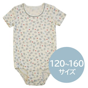 傫ȃTCỸp[Xiqp ǂ LbY p[X {fBI[  Ci[ 傫TCY Ⴊ Q ̕sR  ҂ G[LbYEFAj