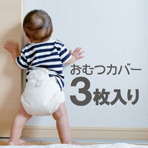 y{z ނ Jo[  3P Zbgi󂠂 Z[  AEgbg IcJo[ Jo[ Ic h i Japan El {i  Ɩp a g mX^W[ 킢