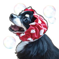犬用シャワーキャップ【わんぷぅきゃっぷ（水玉）S／Mサイズ】（犬 シャンプー トリミング サロン トリマ…